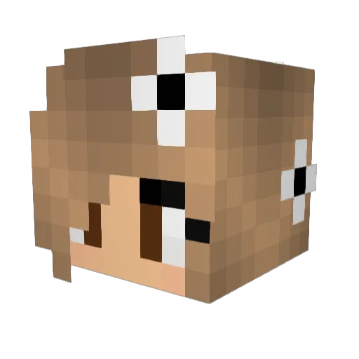 Cyarikaa Minecraft avatar head, 3D render