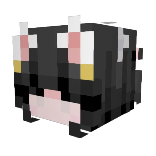 Cyb3rBrvt Minecraft avatar head, 3D render