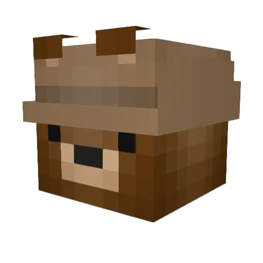 Cybear227 Minecraft avatar head, 3D render