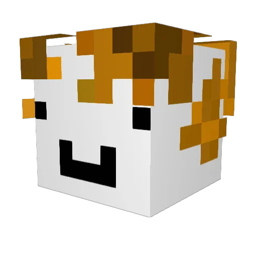CyberHacks Minecraft avatar head, 3D render