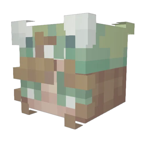 CyberKiwii394 Minecraft avatar head, 3D render