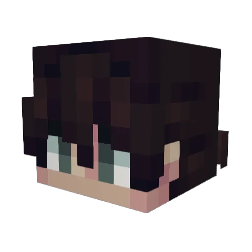 CyberNotes Minecraft avatar head, 3D render