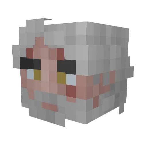 CyberNova777 Minecraft avatar head, 3D render
