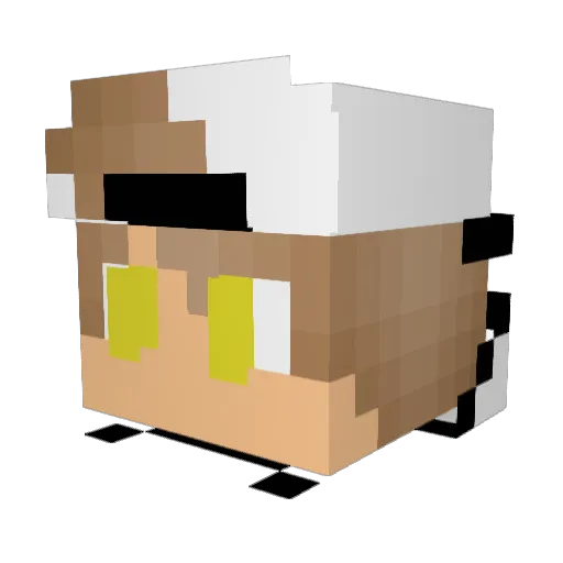 CyberPanda45 Minecraft avatar head, 3D render