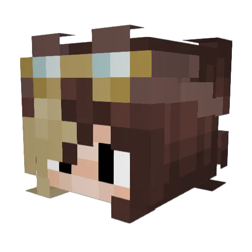 CyberShadow_ Minecraft avatar head, 3D render