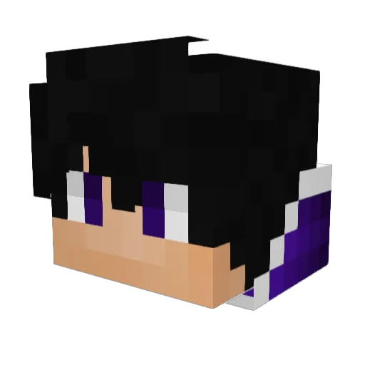 CyberSku11 Minecraft avatar head, 3D render