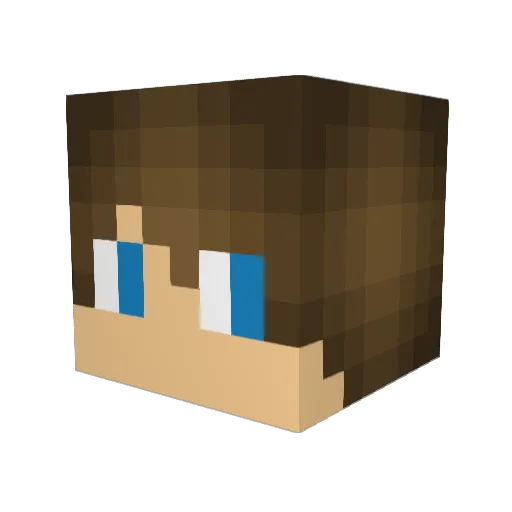 CyberWire Minecraft avatar head, 3D render
