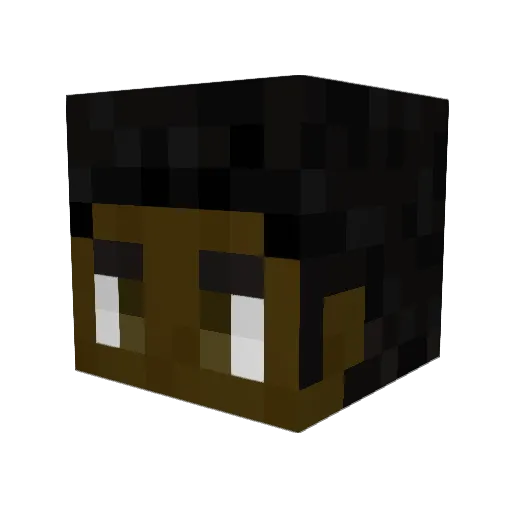 Cyber_Kn1ght Minecraft avatar head, 3D render