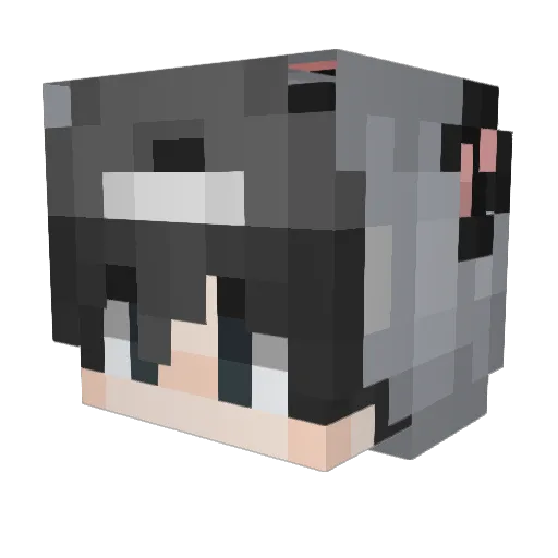 Cyber_T Minecraft avatar head, 3D render