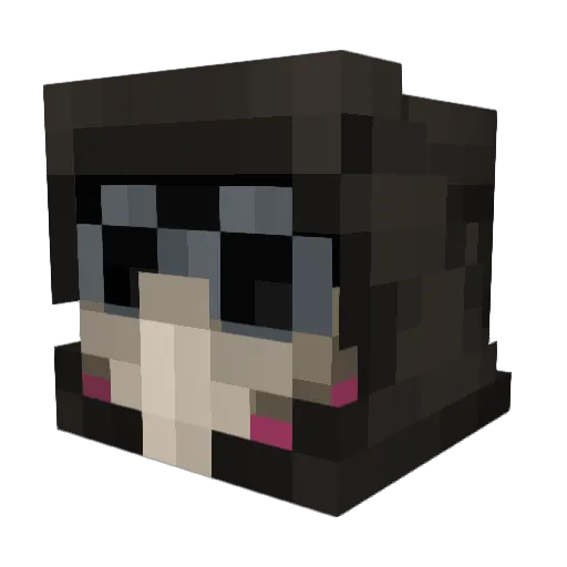 Cyber_sloth_100 Minecraft avatar head, 3D render