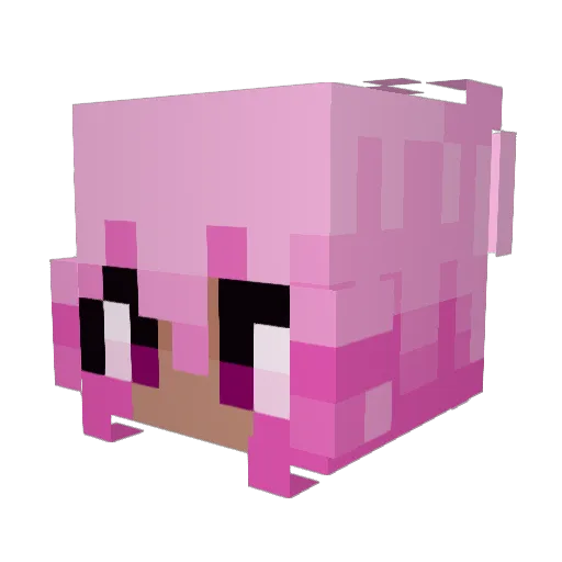 CybercatXD03 Minecraft avatar head, 3D render