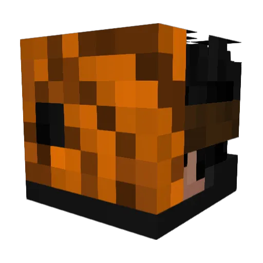 Cyberking101 Minecraft avatar head, 3D render