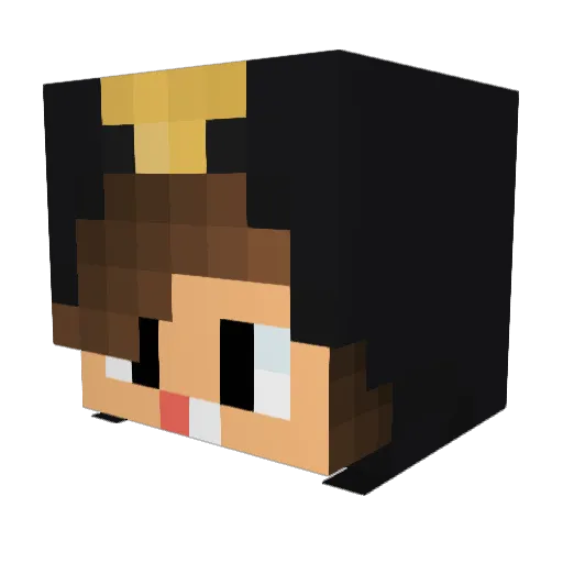 CyborgMonk Minecraft avatar head, 3D render