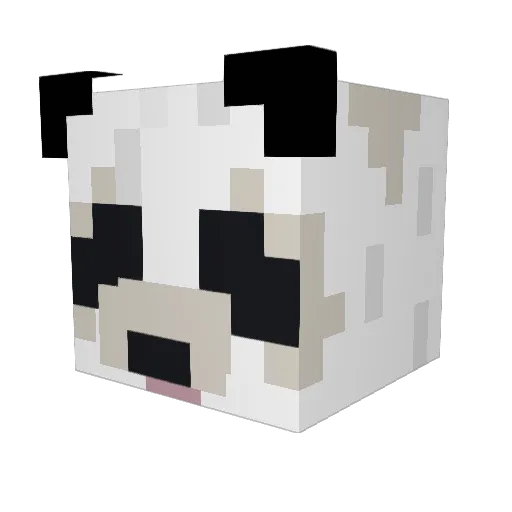 Cyborg_Panda0611 Minecraft avatar head, 3D render