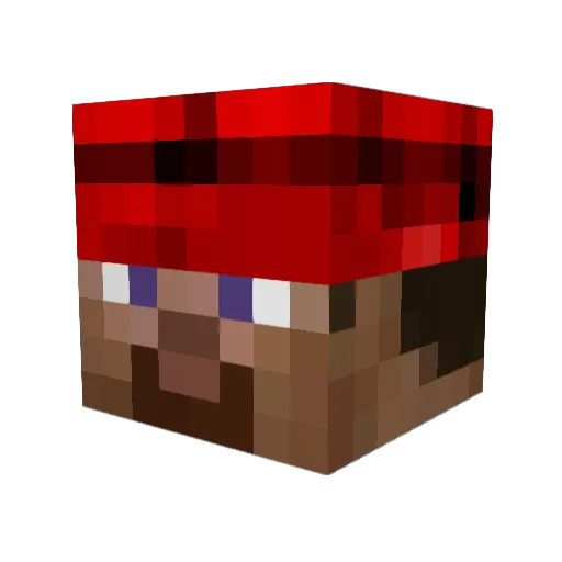 Cyborgpandaman Minecraft avatar head, 3D render