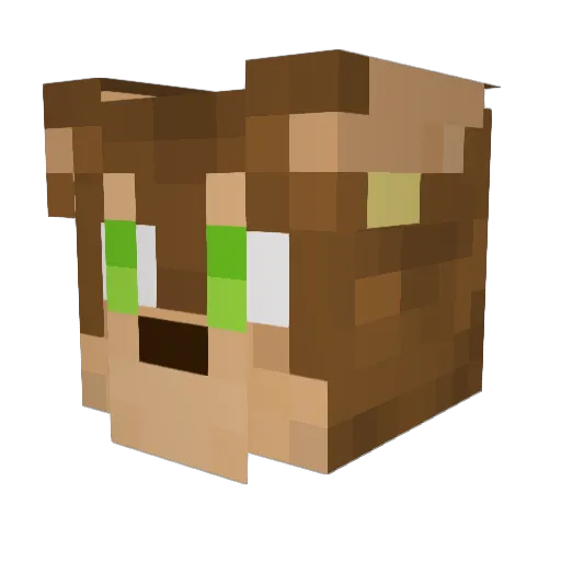 CyborkB Minecraft avatar head, 3D render