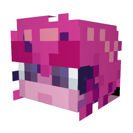 Cycadeli Minecraft avatar head, 3D render