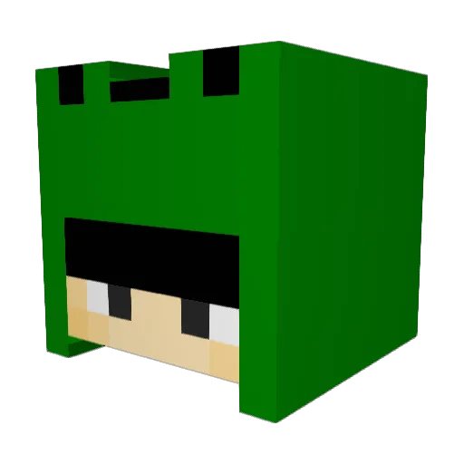Cycads Minecraft avatar head, 3D render