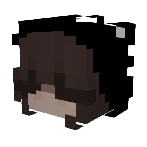 CyclicalArc7 Minecraft avatar head, 3D render