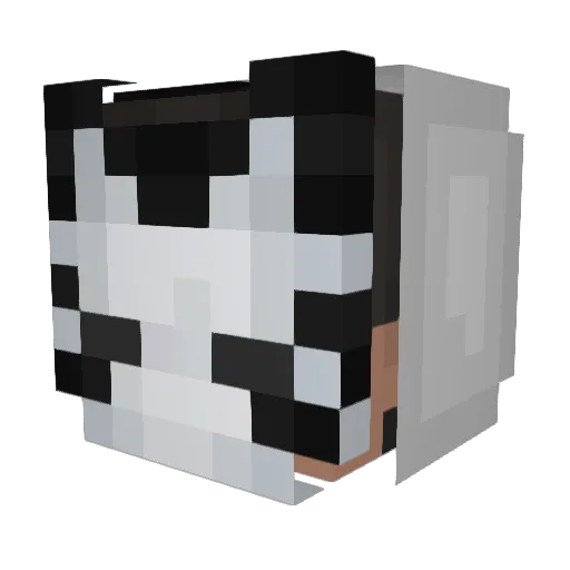 Cyclone5478 Minecraft avatar head, 3D render
