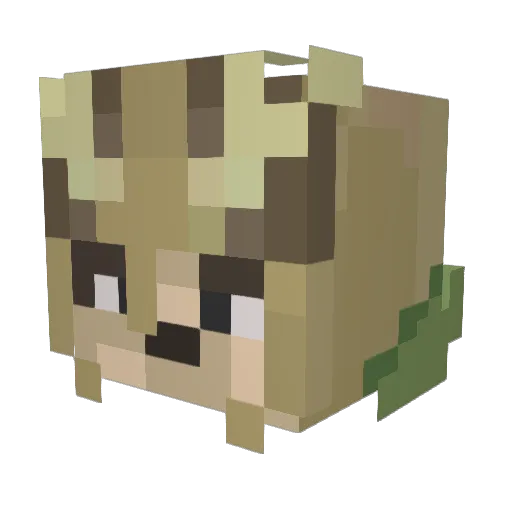 Cyganeq Minecraft avatar head, 3D render