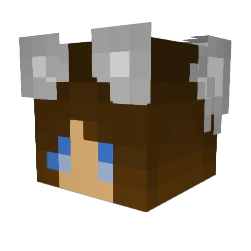 Cygne_Noir_ Minecraft avatar head, 3D render