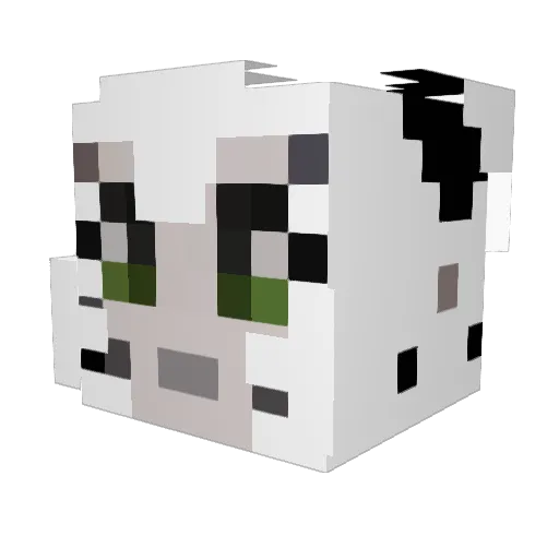 Cygnus247 Minecraft avatar head, 3D render