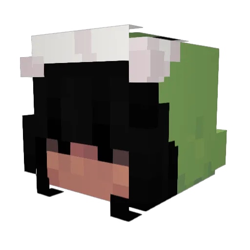 Cymsock Minecraft avatar head, 3D render