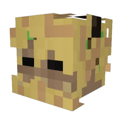 CynDough0 Minecraft avatar head, 3D render