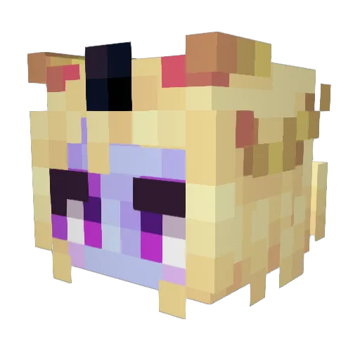 CynPancakes Minecraft avatar head, 3D render