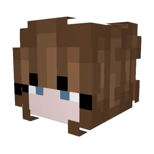 Cyn_D3x Minecraft avatar head, 3D render