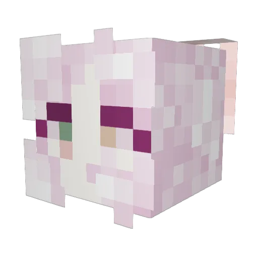 CynnimmonENDER22 Minecraft avatar head, 3D render