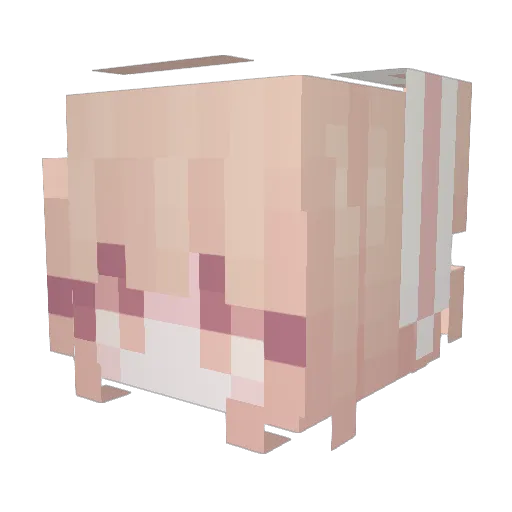 Cynthia213 Minecraft avatar head, 3D render