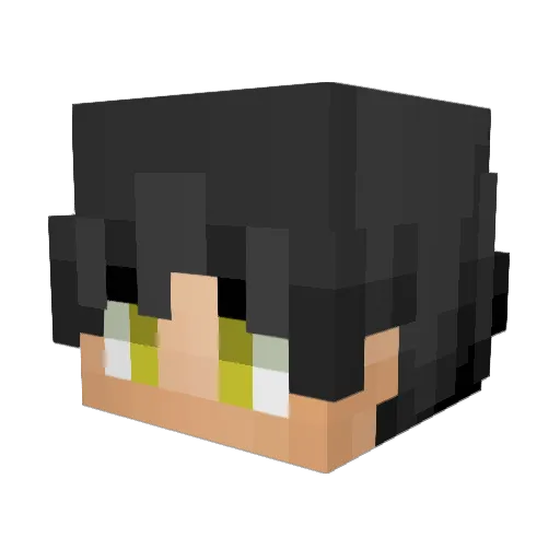 CypherDragon10 Minecraft avatar head, 3D render