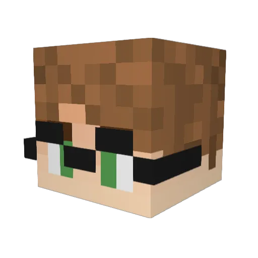 CypherFry Minecraft avatar head, 3D render