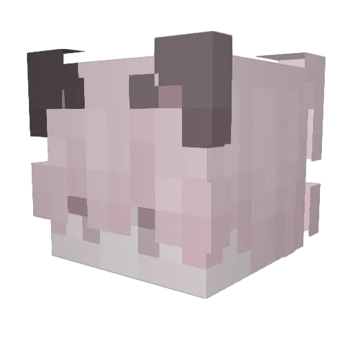 Cyphoris Minecraft avatar head, 3D render