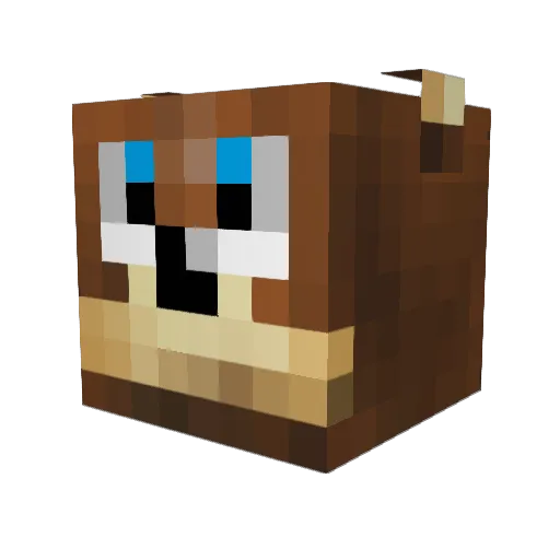 Cyphus573 Minecraft avatar head, 3D render