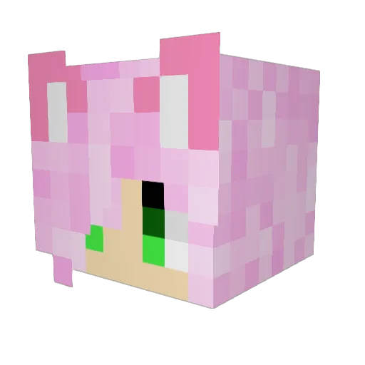 Cypress1x Minecraft avatar head, 3D render