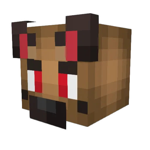 Cypress69 Minecraft avatar head, 3D render