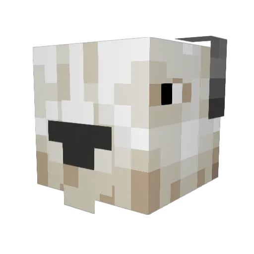 CypriotCheez Minecraft avatar head, 3D render