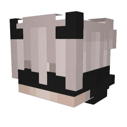 CyrusRabadon Minecraft avatar head, 3D render