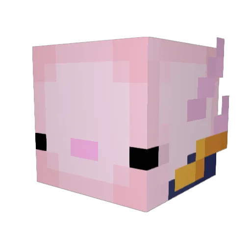 CyrusTheAxolotl Minecraft avatar head, 3D render