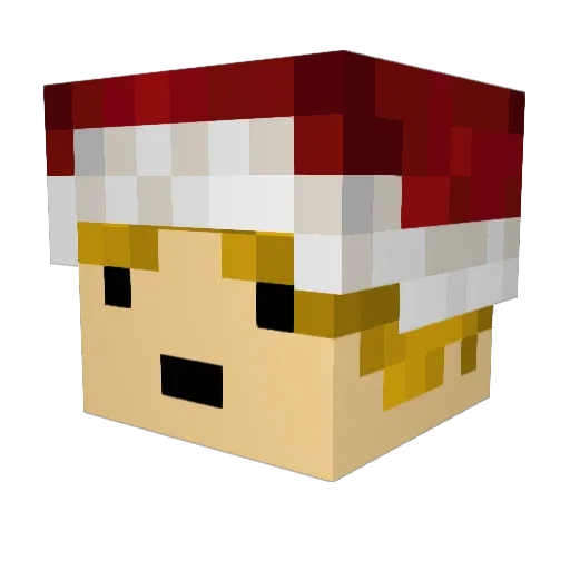 Cytoxien74 Minecraft avatar head, 3D render