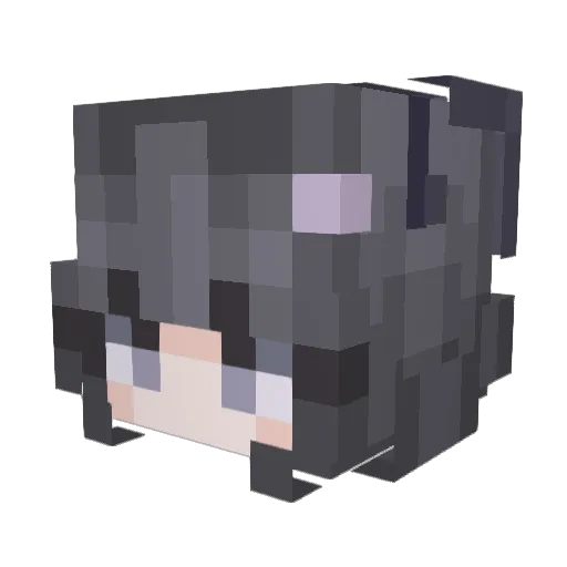 CzajnikXDD Minecraft avatar head, 3D render