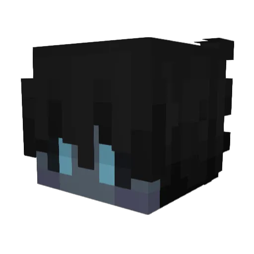 Czapski16 Minecraft avatar head, 3D render