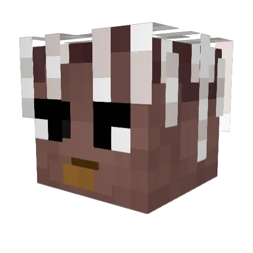 CzarC Minecraft avatar head, 3D render