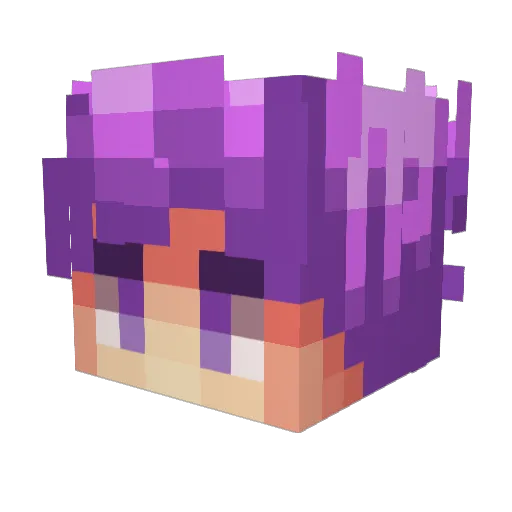 Czarek022014 Minecraft avatar head, 3D render