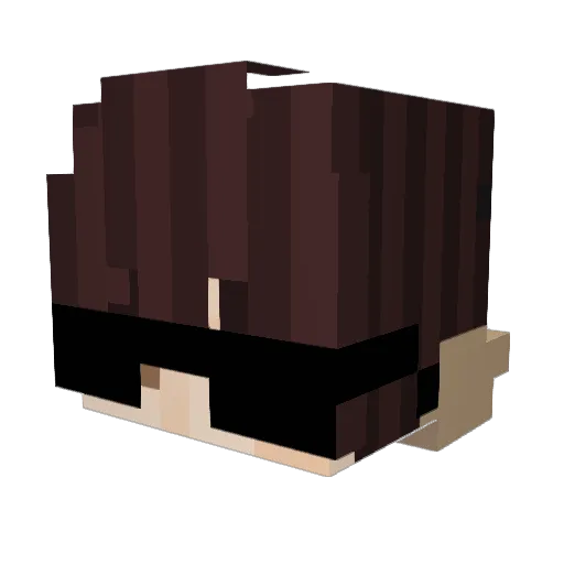CzechMappingGame Minecraft avatar head, 3D render
