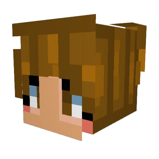 Czecher236 Minecraft avatar head, 3D render