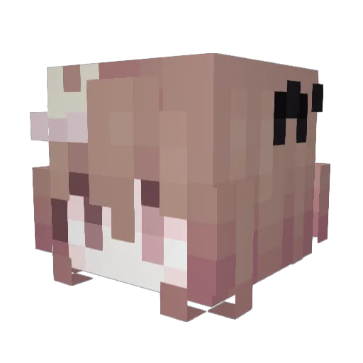 Czerstvi Minecraft avatar head, 3D render
